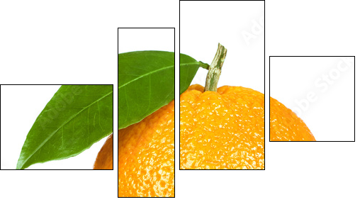 Pomarańcza jak z żurnala wyjęta  - Obraz czteroczęściowy, Fortyk