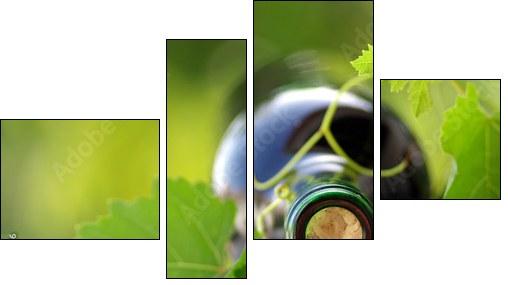 Wino dojrzewające na pnączu  - Obraz czteroczęściowy, Fortyk