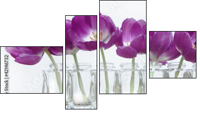 Tulpen  - Obraz czteroczęściowy, Fortyk