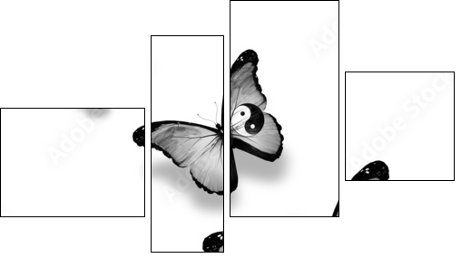Three dao flag butterflies, isolated on white  - Obraz czteroczęściowy, Fortyk
