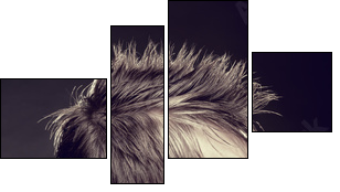 Men's hairstyle  - Obraz czteroczęściowy, Fortyk
