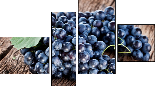 Grapes  - Obraz czteroczęściowy, Fortyk