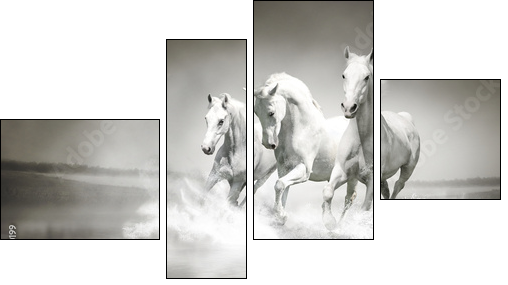 Herd of white horses running through water  - Obraz czteroczęściowy, Fortyk