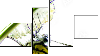 Monarch Butterfly, Milkweed Mania, baby born in the nature isola  - Obraz czteroczęściowy, Fortyk