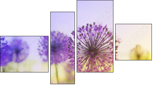 Flowering Onion  - Obraz czteroczęściowy, Fortyk