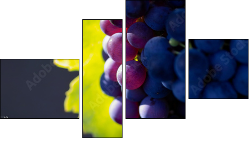 Dojrzewające wino – zoom na winnice
 - Obraz czteroczęściowy, Fortyk