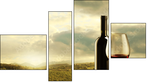 Vineyard at sunset  - Obraz czteroczęściowy, Fortyk