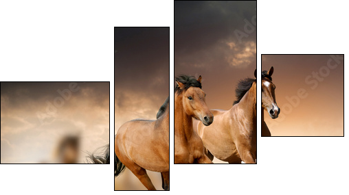 Mustang w dzikiej dolinie - Obraz czteroczęściowy, Fortyk