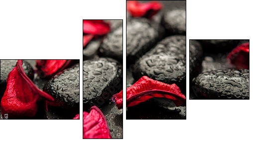 background spa. black stones and red petals with water droplets  - Obraz czteroczęściowy, Fortyk