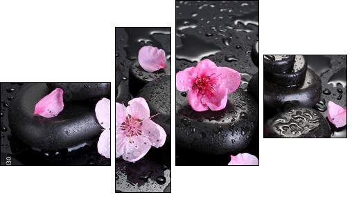 Spa stones with drops and pink sakura flowers  - Obraz czteroczęściowy, Fortyk