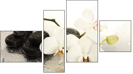 Spa stones and orchid flowers, isolated on white.  - Obraz czteroczęściowy, Fortyk