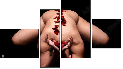 Roses  - Obraz czteroczęściowy, Fortyk