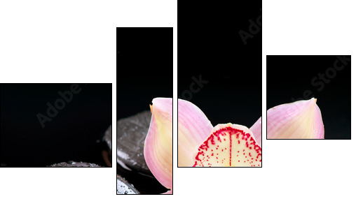 Zen Stones and Orchid Flower. Stone Massage  - Obraz czteroczęściowy, Fortyk