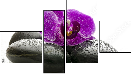 Violet orchid on black spa stones with water drops  - Obraz czteroczęściowy, Fortyk