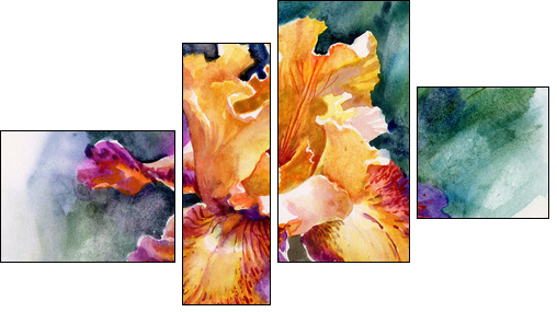 Yellow iris  - Obraz czteroczęściowy, Fortyk