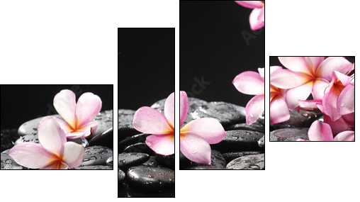 Set of frangipani with zen stones  - Obraz czteroczęściowy, Fortyk