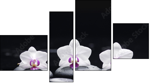 orchid flower and stones in water drops  - Obraz czteroczęściowy, Fortyk