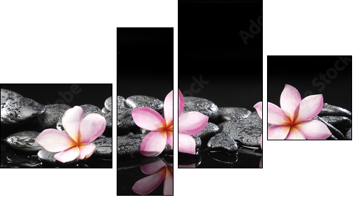 Set of three frangipani and black pebbles  - Obraz czteroczęściowy, Fortyk