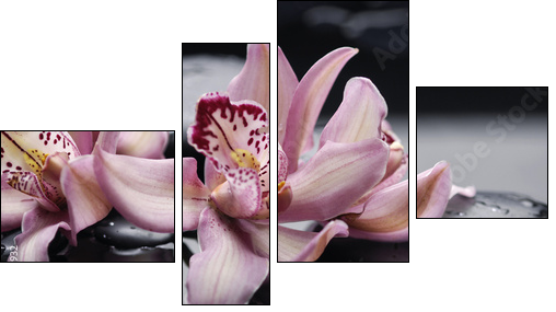 spa concept âgorgeous pink orchid and zen stones  - Obraz czteroczęściowy, Fortyk