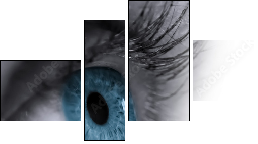 Auge im Wasser gespiegelt  - Obraz czteroczęściowy, Fortyk