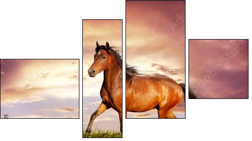 Beautiful brown horse running trot  - Obraz czteroczęściowy, Fortyk