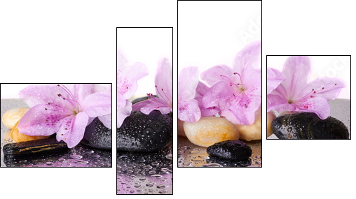 Pink flowers and black stones  - Obraz czteroczęściowy, Fortyk