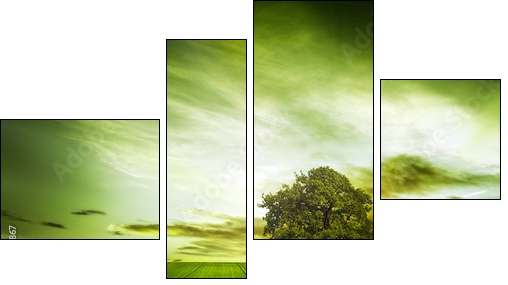 Green nature  - Obraz czteroczęściowy, Fortyk
