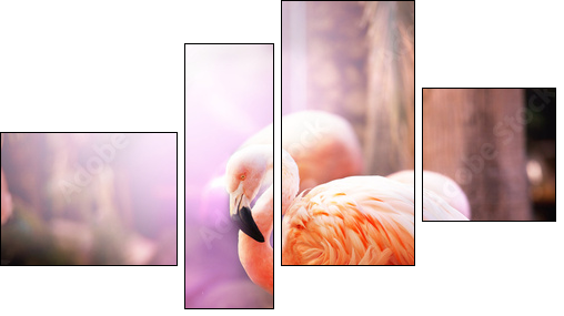 Flamingo  - Obraz czteroczęściowy, Fortyk