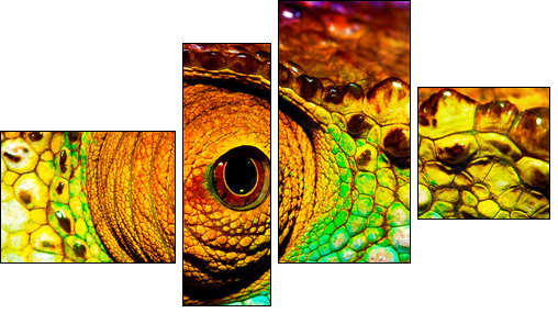 Reptilian eye  - Obraz czteroczęściowy, Fortyk