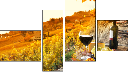 Glass of red wine on the terrace vineyard in Lavaux region, Swit  - Obraz czteroczęściowy, Fortyk