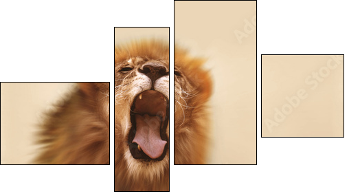 Lion  - Obraz czteroczęściowy, Fortyk