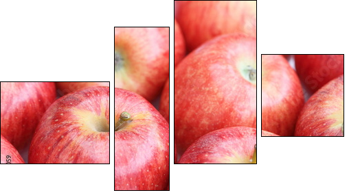 Aromatyczne owoce - soczyste jabłka - Obraz czteroczęściowy, Fortyk