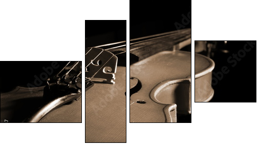 violin isolated on black  - Obraz czteroczęściowy, Fortyk