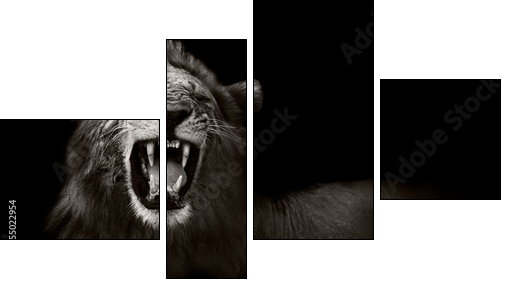 Lion displaying dangerous teeth  - Obraz czteroczęściowy, Fortyk