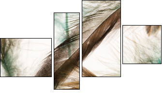 Color feathers  - Obraz czteroczęściowy, Fortyk