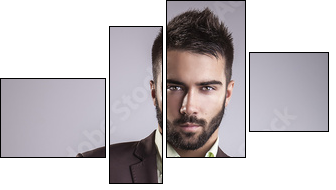 Elegant young handsome man. Studio fashion portrait.  - Obraz czteroczęściowy, Fortyk