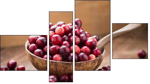 Cranberries.  - Obraz czteroczęściowy, Fortyk