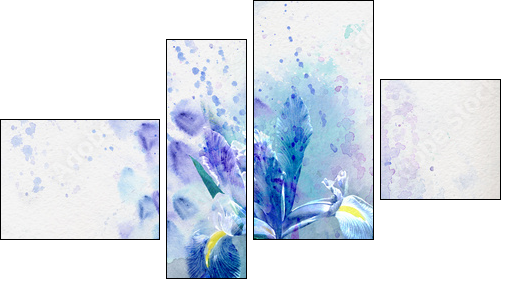 Watercolor iris  - Obraz czteroczęściowy, Fortyk