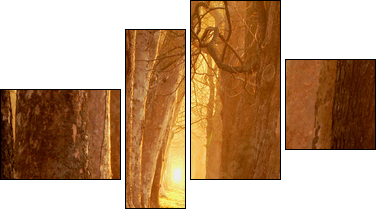 Ciepła jesień – leśna droga
 - Obraz czteroczęściowy, Fortyk