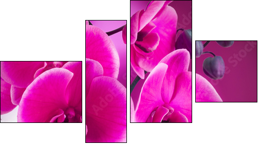natural floral background, spa concept  - Obraz czteroczęściowy, Fortyk