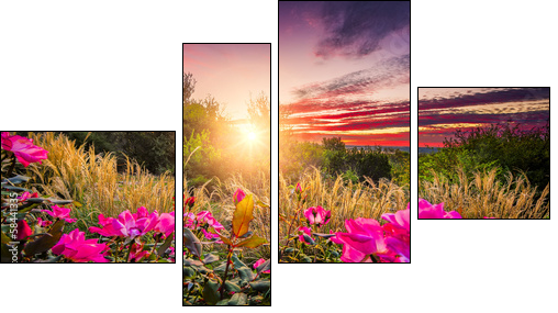 Backyard Sunrise  - Obraz czteroczęściowy, Fortyk