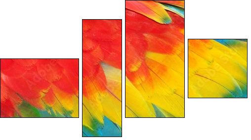 Parrot feathers, red and blue exotic texture  - Obraz czteroczęściowy, Fortyk