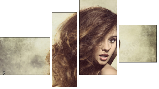 sexy lady with bushy hair  - Obraz czteroczęściowy, Fortyk