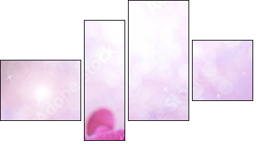 Beautiful blooming orchid  on light color background  - Obraz czteroczęściowy, Fortyk