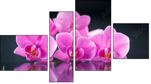 beautiful branch Phalaenopsis  - Obraz czteroczęściowy, Fortyk