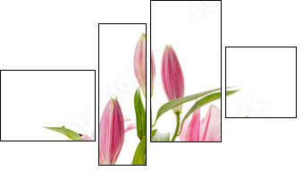 Dostojna różowa lilia - Obraz czteroczęściowy, Fortyk