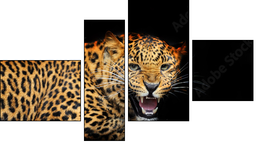 Portrait of leopard in its natural habitat  - Obraz czteroczęściowy, Fortyk