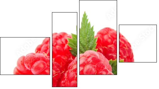 Sweet raspberry with leafs  - Obraz czteroczęściowy, Fortyk