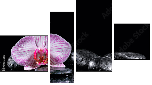 Orchid flower with zen stones on black background  - Obraz czteroczęściowy, Fortyk