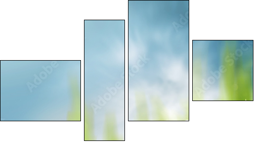 Daisy flowers on the meadow, seasonal backgrounds for your desi  - Obraz czteroczęściowy, Fortyk